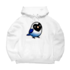 Cody the Lovebirdの（両面）表ブルーボタンインコ 背面ラブバード大集合 Big Hoodie