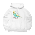 まめるりはことりのごきげんセキセイインコ【まめるりはことり】 Big Hoodie