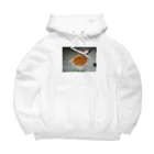 aylaの10万年後の人間 Big Hoodie