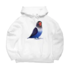 まめるりはことりのボタンインコ　おすましコバルトブルー【まめるりはことり】 Big Hoodie