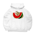 レコードの巣の茶色うさぎとスイカ Big Hoodie