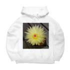 でおきしりぼ子の実験室のサボテンの花 Big Hoodie