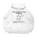 U Libraryのシロシビン(衛生学) Big Hoodie