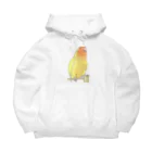 まめるりはことりの得意げ可愛い　コザクラインコちゃん【まめるりはことり】 Big Hoodie