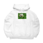 こがちゃんの草原のレオくん Big Hoodie