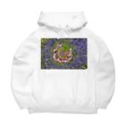 Ashidoriのぐるぐる花々 Big Hoodie