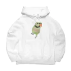 まめるりはことりのご機嫌なダルマインコちゃん【まめるりはことり】 Big Hoodie