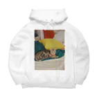 34の赤黄緑猫 Big Hoodie