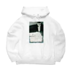 るかのよろずやの光と影が美しいグラスシリーズ Big Hoodie