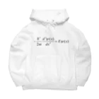 FCLBRの1次元の時間を含まないシュレディンガー方程式 Big Hoodie