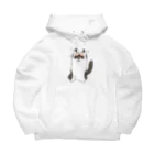 Space_Catsのしじみ Big Hoodie