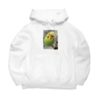 セキセイインコのきぃちゃんshopのセキセイインコ1 Big Hoodie