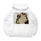 可愛いうさぎのこむたつのうさぎのこむぎ Big Hoodie