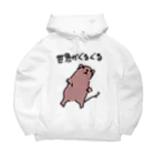 でぐーや　のめまいデグー Big Hoodie