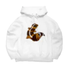 金魚大好き悠tubeのネットショップのニシアフリカトカゲモドキ Big Hoodie