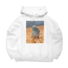 向日葵SHOPのマメルリハのブルーちゃん🐦 Big Hoodie