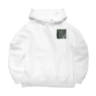 リューカデンドロンのタイル Big Hoodie