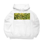 天秤座の雨上がりの菜の花 Big Hoodie