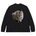 ミラくまの睨みを効かせた猫 ビッグシルエットロングスリーブTシャツ