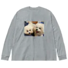 suzu_1999のくつろぎくーちゃんにこちゃん Big Long Sleeve T-Shirt