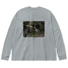 知真/洞田の山百合の蕾フォト Big Long Sleeve T-Shirt