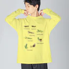 L_arctoaの関東のカマキリ（旧学名・非推奨）（背景透過ver） Big Long Sleeve T-Shirt