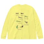 L_arctoaの関東のカマキリ（旧学名・非推奨）（背景透過ver） Big Long Sleeve T-Shirt