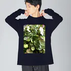 このっけるの🌿 autumn hydrangea 🌿 ビッグシルエットロングスリーブTシャツ