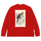 J. Jeffery Print Galleryの博物画　オカメインコ ビッグシルエットロングスリーブTシャツ