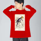 J. Jeffery Print Galleryの博物画　オカメインコ ビッグシルエットロングスリーブTシャツ