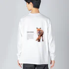 Chino.の北海道へ行こう ～キタキツネ～ Big Long Sleeve T-Shirt