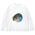 はむちのぶらさがりあしゅくん Big Long Sleeve T-Shirt