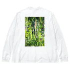 そらまめ太郎のつくしんぼseries Big Long Sleeve T-Shirt