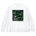 plantsandtokyoのFerns｜TSUKUBASAN ビッグシルエットロングスリーブTシャツ