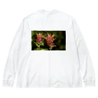 HideaのCanadian Flower  ビッグシルエットロングスリーブTシャツ