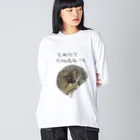 Sakura to Sumireのとれたてにゃんもないと Big Long Sleeve T-Shirt