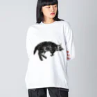 アメショーのひめちゃんのアメショーのひめちゃん⑥ ビッグシルエットロングスリーブTシャツ