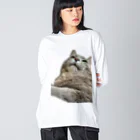 グレージュ猫ロッタン🐈‍⬛のよそ見ロッタン Big Long Sleeve T-Shirt