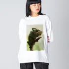 可愛い動物のカメレオン ビッグシルエットロングスリーブTシャツ