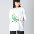 まめるりはことりのごきげんセキセイインコ【まめるりはことり】 ビッグシルエットロングスリーブTシャツ