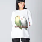 まめるりはことりのコザクラインコ　モーブとオリーブ【まめるりはことり】 ビッグシルエットロングスリーブTシャツ