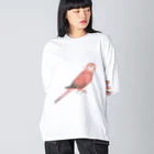 まめるりはことりのアキクサインコ　ピンク【まめるりはことり】 ビッグシルエットロングスリーブTシャツ