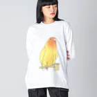 まめるりはことりの得意げ可愛い　コザクラインコちゃん【まめるりはことり】 Big Long Sleeve T-Shirt