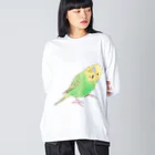 まめるりはことりの首傾げセキセイインコ　ピーちゃん【まめるりはことり】 Big Long Sleeve T-Shirt