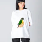 アキクサインコとウロコインコの手のりインコ、ウロコインコ Big Long Sleeve T-Shirt