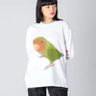 まめるりはことりの見つめるコザクラインコちゃん【まめるりはことり】 ビッグシルエットロングスリーブTシャツ