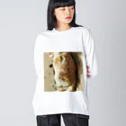 電気羊研究所science&GAMEのころころ猫 Big Long Sleeve T-Shirt