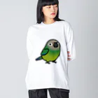 Cody the LovebirdのChubby Bird シモフリインコ Big Long Sleeve T-Shirt