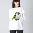 Cody the LovebirdのChubby Bird オキナインコ Big Long Sleeve T-Shirt