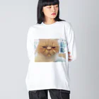 Ka-sunのぶちゃかわな猫 ビッグシルエットロングスリーブTシャツ